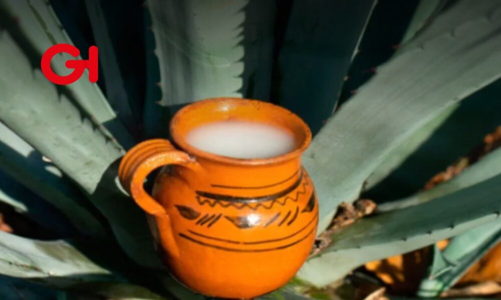 Presentan iniciativa para declarar el Proceso de elaboración del pulque como Patrimonio Cultural