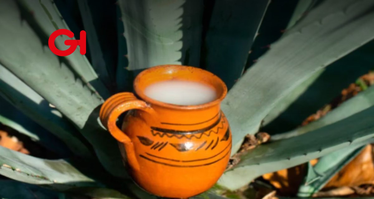 Presentan iniciativa para declarar el Proceso de elaboración del pulque como Patrimonio Cultural