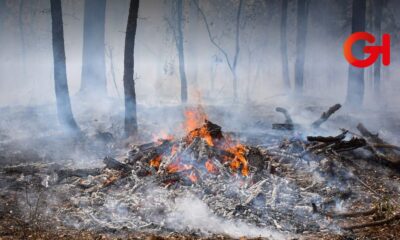 Aumentan los incendios forestales en Hidalgo y se intensifican medidas contra el fuego