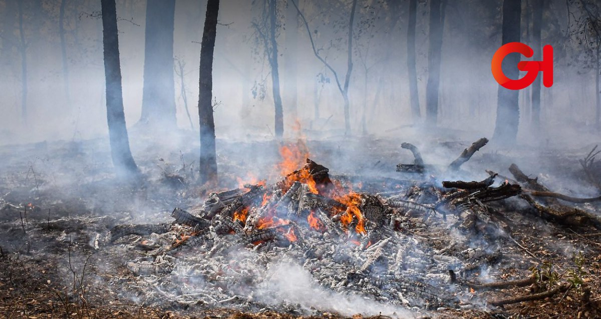 Aumentan los incendios forestales en Hidalgo y se intensifican medidas contra el fuego